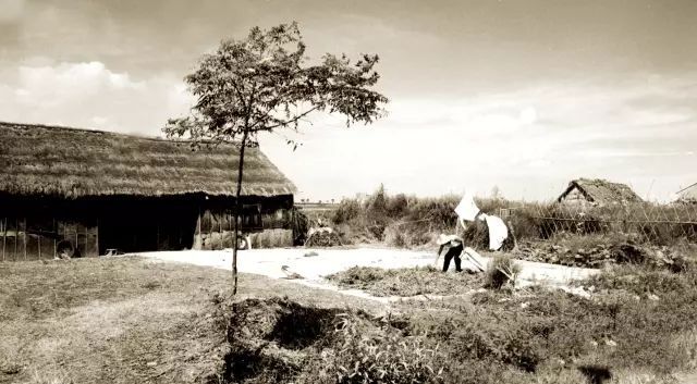 一勺盐浙江父子却靠它撑起一个千亿帝国九游会J9入口花2000元冤枉钱买了(图14)