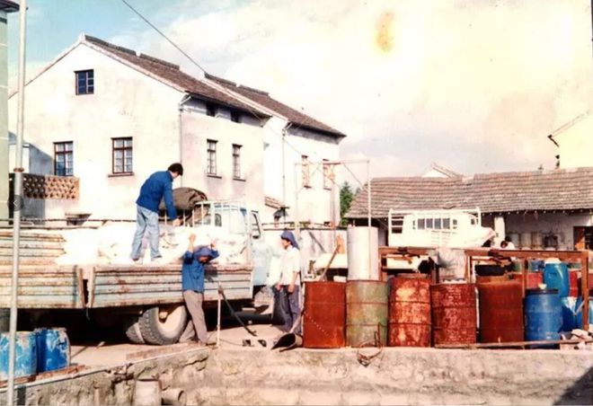 一勺盐浙江父子却靠它撑起一个千亿帝国九游会J9入口花2000元冤枉钱买了(图18)